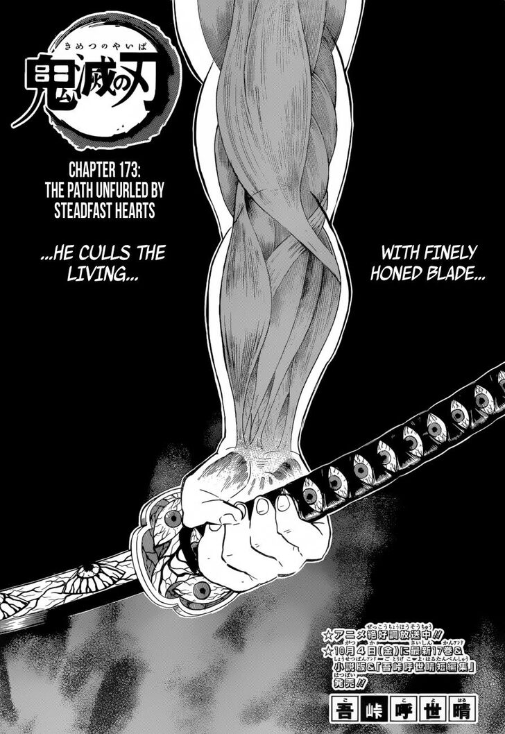 Kimetsu No Yaiba Demon Slayer, Chapter 173 c000 - Kimetsu No Yaiba Demon Slayer, Chapter 173