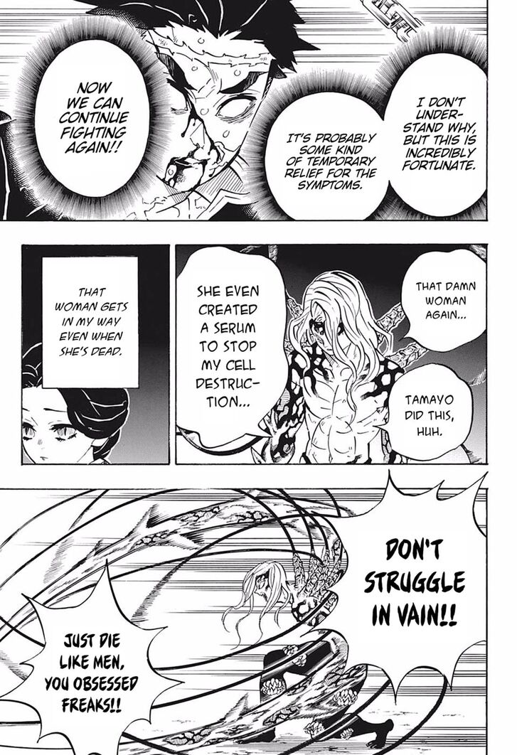 Kimetsu No Yaiba Demon Slayer, Chapter 189 n013 - Kimetsu No Yaiba Demon Slayer, Chapter 189