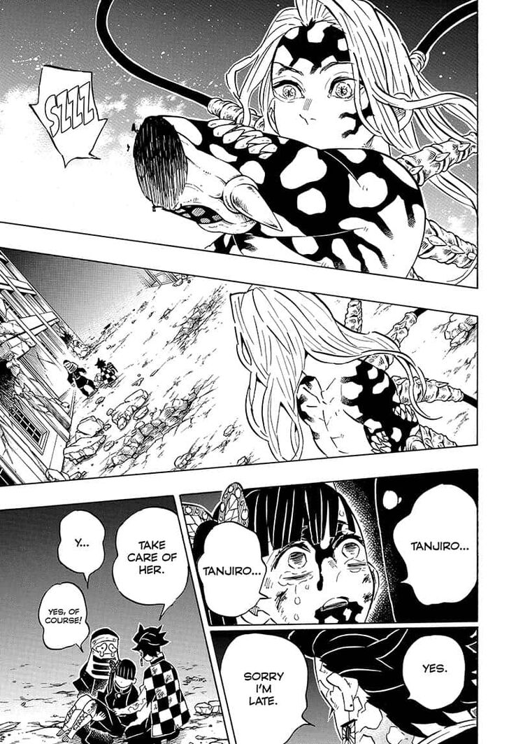 Kimetsu No Yaiba Demon Slayer, Chapter 191 o018 - Kimetsu No Yaiba Demon Slayer, Chapter 191