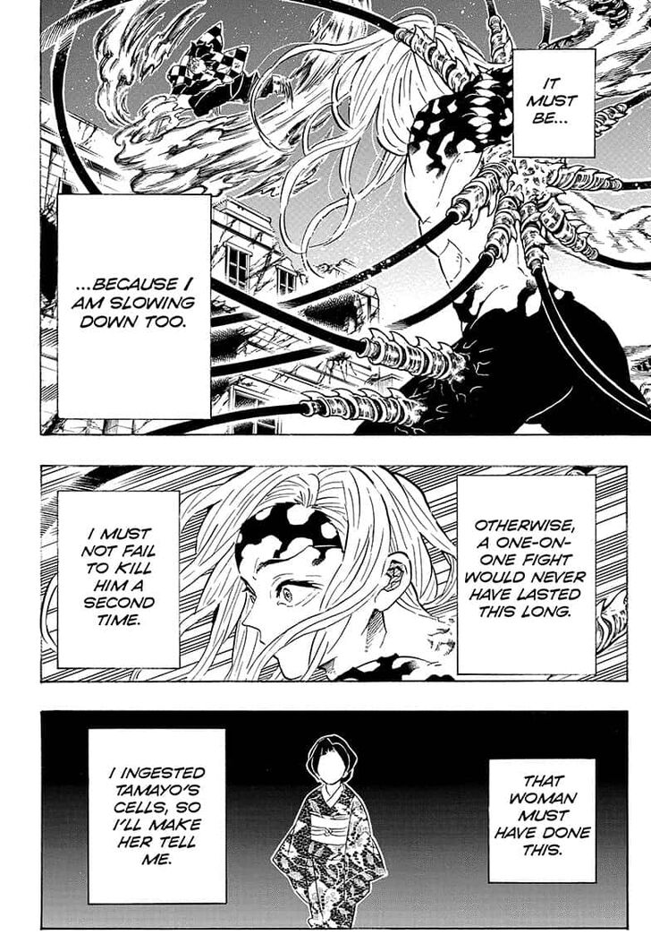 Kimetsu No Yaiba Demon Slayer, Chapter 193 d013 - Kimetsu No Yaiba Demon Slayer, Chapter 193