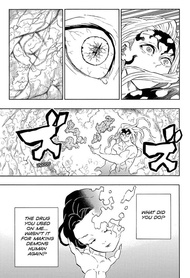 Kimetsu No Yaiba Demon Slayer, Chapter 193 d014 - Kimetsu No Yaiba Demon Slayer, Chapter 193