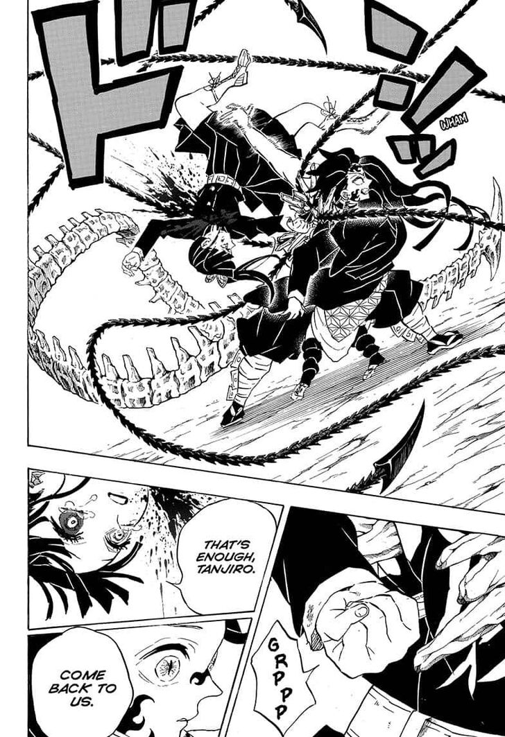 Kimetsu No Yaiba Demon Slayer, Chapter 202 u017 - Kimetsu No Yaiba Demon Slayer, Chapter 202